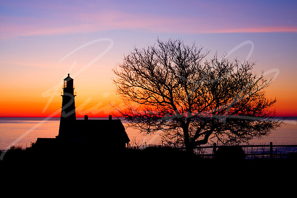 Guiding Lights