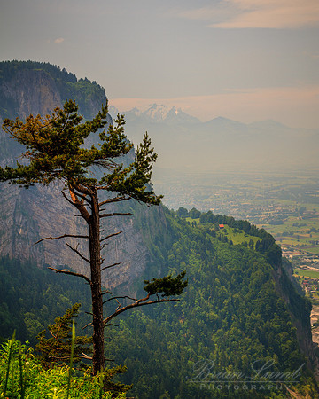 EOS 7D_14445