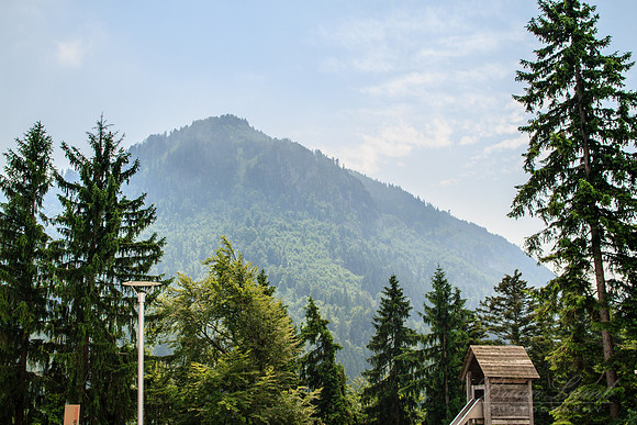 EOS 7D_14438