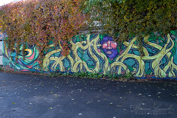 EOS 7D_19964